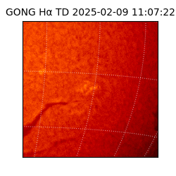 gong - 2025-02-09T11:07:22
