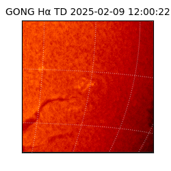 gong - 2025-02-09T12:00:22