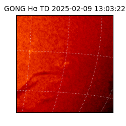 gong - 2025-02-09T13:03:22