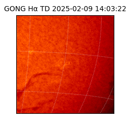 gong - 2025-02-09T14:03:22