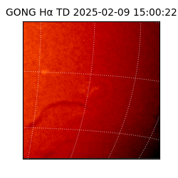 gong - 2025-02-09T15:00:22