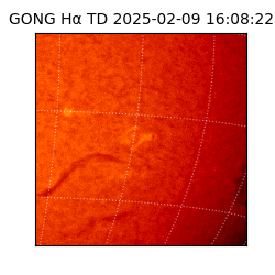 gong - 2025-02-09T16:08:22