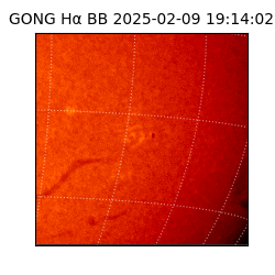 gong - 2025-02-09T19:14:02