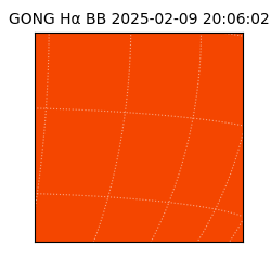 gong - 2025-02-09T20:06:02