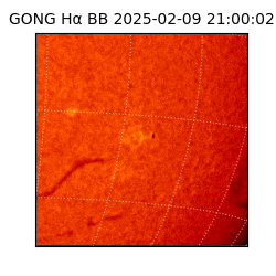 gong - 2025-02-09T21:00:02