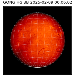 gong - 2025-02-09T00:06:02