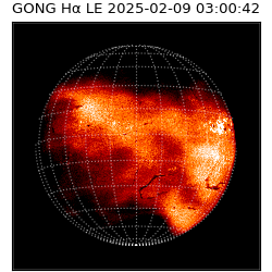 gong - 2025-02-09T03:00:42