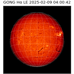 gong - 2025-02-09T04:00:42