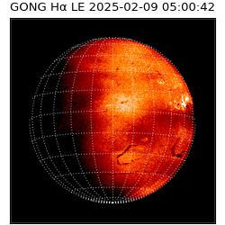 gong - 2025-02-09T05:00:42