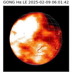 gong - 2025-02-09T06:01:42