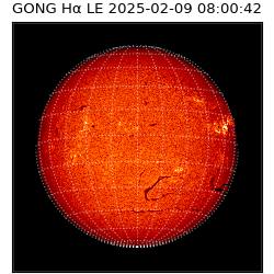 gong - 2025-02-09T08:00:42
