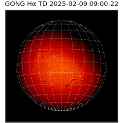 gong - 2025-02-09T09:00:22