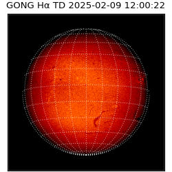 gong - 2025-02-09T12:00:22