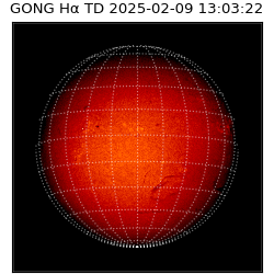 gong - 2025-02-09T13:03:22