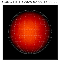 gong - 2025-02-09T15:00:22