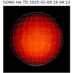 gong - 2025-02-09T16:08:22