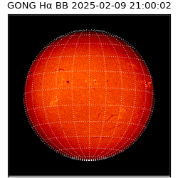 gong - 2025-02-09T21:00:02