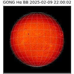 gong - 2025-02-09T22:00:02
