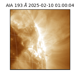 saia - 2025-02-10T01:00:04.835000