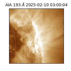 saia - 2025-02-10T03:00:04.843000