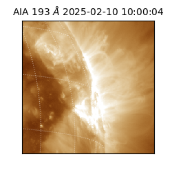 saia - 2025-02-10T10:00:04.843000