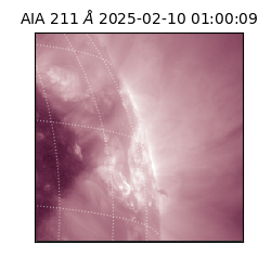 saia - 2025-02-10T01:00:09.618000