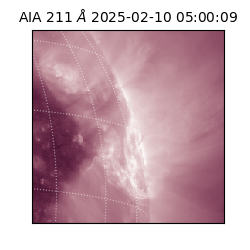 saia - 2025-02-10T05:00:09.630000