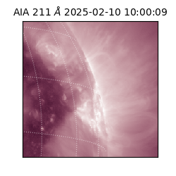 saia - 2025-02-10T10:00:09.629000