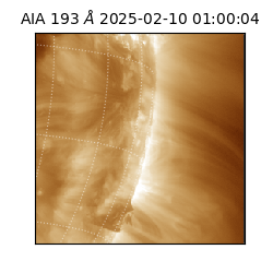 saia - 2025-02-10T01:00:04.835000