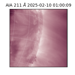 saia - 2025-02-10T01:00:09.618000