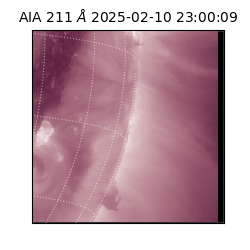 saia - 2025-02-10T23:00:09.629000