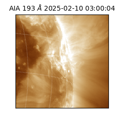 saia - 2025-02-10T03:00:04.843000