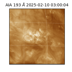 saia - 2025-02-10T03:00:04.843000