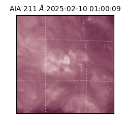 saia - 2025-02-10T01:00:09.618000