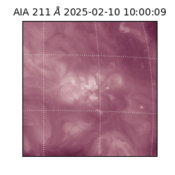 saia - 2025-02-10T10:00:09.629000