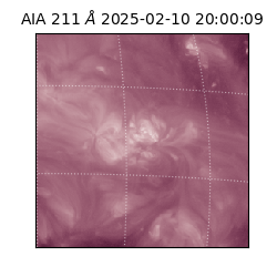 saia - 2025-02-10T20:00:09.618000