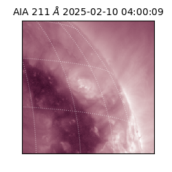 saia - 2025-02-10T04:00:09.625000