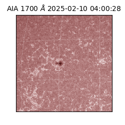 saia - 2025-02-10T04:00:28.727000