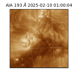 saia - 2025-02-10T01:00:04.835000