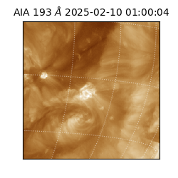 saia - 2025-02-10T01:00:04.835000