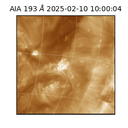 saia - 2025-02-10T10:00:04.843000