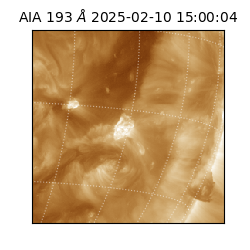 saia - 2025-02-10T15:00:04.843000