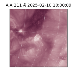 saia - 2025-02-10T10:00:09.629000