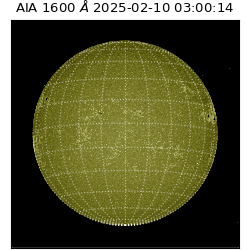 saia - 2025-02-10T03:00:14.125000