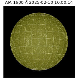 saia - 2025-02-10T10:00:14.125000