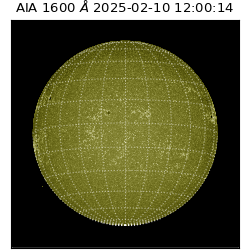 saia - 2025-02-10T12:00:14.126000