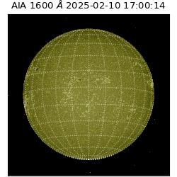 saia - 2025-02-10T17:00:14.124000
