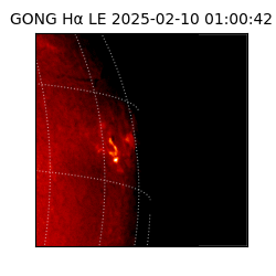 gong - 2025-02-10T01:00:42