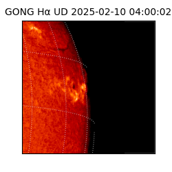 gong - 2025-02-10T04:00:02