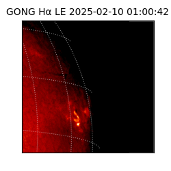 gong - 2025-02-10T01:00:42